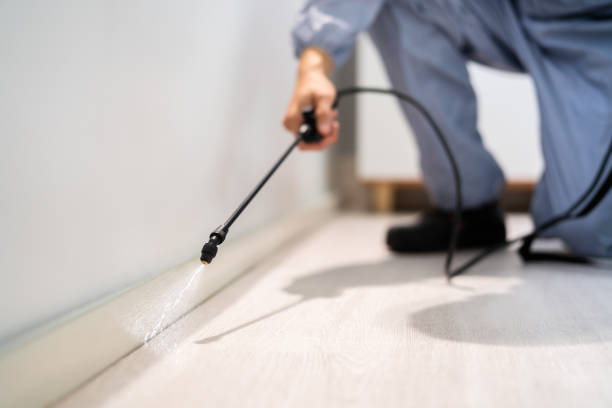 Licensed Pest Control service in Jerome, IL - Show Me Pest Control